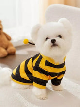 Flauschiger weißer Hund im gelb-schwarzen Bienenkostüm, weicher, warmer Haustier-Hoodie