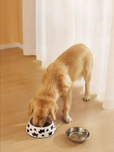 White ceramic stainless steel pet bowl with black bone patterns