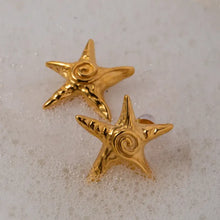 Stainless Steel Star Shape Earrings Earrings