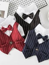 Three pinstripe pet blazer sets with bow tie and formal wear collar