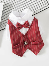Red pinstripe pet blazer with bow tie and formal wear shirt
