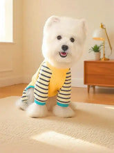 Cane bianco soffice in tuta per animali a righe navy giallo brillante leggermente elasticizzata