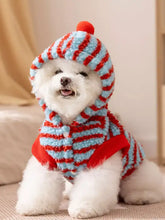 Flauschiger weißer Hund in gestreiftem Kapuzenplüsch-Haustierpullover mit Bommel