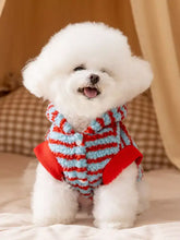 Flauschiger weißer Bichon Frisé im gestreiften Kapuzenplüsch-Haustierpullover