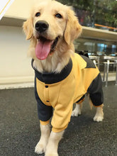 Szczeniak golden retriever w dwukolorowej kurtce dla psa, strój pszczoły na tylnych łapach
