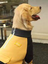 Golden retriever w dwukolorowej kurtce dla psa z żółtą łatą na klatce piersiowej