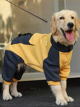 Golden retriever w dwukolorowej kurtce dla psa z widokiem na ciemnoszare tylne nogi