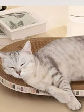Grau getigerte Katze ruht auf einem verschleißfesten Kratz-Loungebett für Katzen