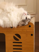 Gato esponjoso blanco y gris descansa sobre rascador de casa de madera para gatos
