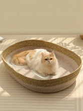 Fluffy cat lounges in woven rattan scratch-resistant cat nest