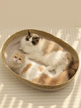 Woven rattan scratch-resistant cat nest with oval shape and cushioned interior